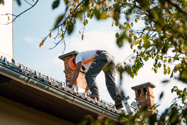 Best Roof Inspection Near Me  in West Point, VA