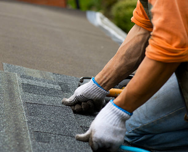 Best Storm Damage Roof Repair  in West Point, VA