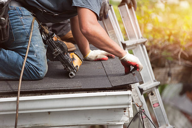 Best Roof Gutter Cleaning  in West Point, VA