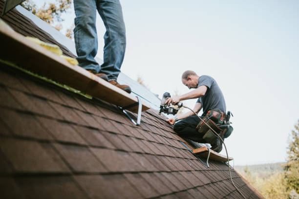 Best Gutter Installation and Roofing  in West Point, VA