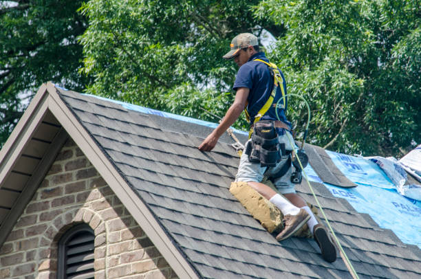 Professional Roofing Contractor in West Point, VA